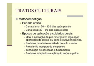 TRATOS CULTURAIS
 Matocompetição
 Período crítico
 Cana planta: 30 – 120 dias após plantio
 Cana soca: 30 – 90 dias após o corte
 Épocas de aplicação e cuidados gerais
 Ideal é aplicação de pré-emergentes logo após
operações de plantio ou corte e cultivo mecânico.
 Produtos para baixa umidade do solo – safra
 Pré-plantio incorporado em pastos
 Tecnologia de aplicação é fundamental
 Produtos adaptados a aplicação sobre a palha
 
