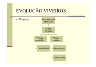 EVOLUÇÃO VIVEIROS
 Viveiros TRATAMENTO
TÉRMICO
Viveiro
primário
Viveiro
secundário
COMERCIAL
Viveiro
produtor
Multiplicação
COMERCIAL
 
