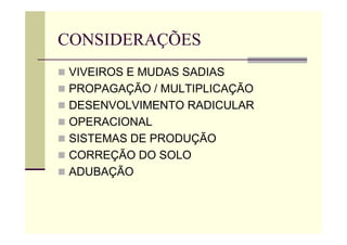 CONSIDERAÇÕES
 VIVEIROS E MUDAS SADIAS
 PROPAGAÇÃO / MULTIPLICAÇÃO
 DESENVOLVIMENTO RADICULAR
 OPERACIONAL
 SISTEMAS DE PRODUÇÃO
 CORREÇÃO DO SOLO
 ADUBAÇÃO
 