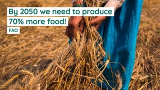 FAO
By 2050 we need to produce
70% more food!
 