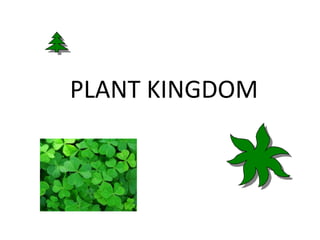 PLANT KINGDOM 
