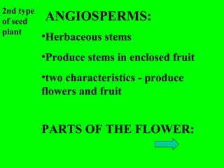2nd type
of seed    ANGIOSPERMS:
plant
           •Herbaceous stems
           •Produce stems in enclosed fruit
           •two characteristics - produce
           flowers and fruit


           PARTS OF THE FLOWER:
 