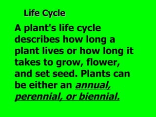 Life Cycle
A plant's life cycle
describes how long a
plant lives or how long it
takes to grow, flower,
and set seed. Plants can
be either an annual,
perennial, or biennial.
 