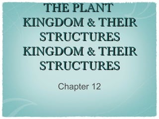 THE PLANT
KINGDOM & THEIR
  STRUCTURES
KINGDOM & THEIR
  STRUCTURES
    Chapter 12
 