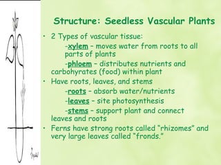 Structure: Seedless Vascular Plants
• 2 Types of vascular tissue:
      -xylem – moves water from roots to all
      parts of plants
      -phloem – distributes nutrients and
  carbohyrates (food) within plant
• Have roots, leaves, and stems
      -roots – absorb water/nutrients
      -leaves – site photosynthesis
      -stems – support plant and connect
  leaves and roots
• Ferns have strong roots called “rhizomes” and
  very large leaves called “fronds.”
 