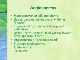 Angiosperms
• Most common of all land plants.
• Seeds develop inside ovary within a
  “flower”
• Flowers attract animals to support
  pollination.
• After “fertilization” seed within flower
  develops into “fruit.”
• Angiosperms = “enclosed seed”
• 2 groups angiosperms:
  1) Monocots
  2) Dicots
 