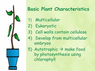 Basic Plant Characteristics

1)  Multicellular
2)  Eukaryotic
3)  Cell walls contain cellulose
4)  Develop from multicellular
   embryos
5) Autotrophic  make food
   by photosynthesis using
   chlorophyll
 
