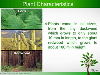 Plants come in all sizes,
from the tiny duckweed
which grows to only about
10 mm in length, to the giant
redwood which grows to
about 100 m in height.
Plant Characteristics
© iTutor. 2000-2013. All Rights Reserved
 