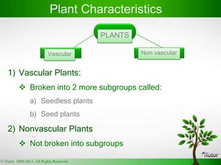 PLANTS
Vascular Non vascular
1) Vascular Plants:
 Broken into 2 more subgroups called:
a) Seedless plants
b) Seed plants
2) Nonvascular Plants
 Not broken into subgroups
Plant Characteristics
© iTutor. 2000-2013. All Rights Reserved
 