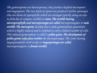 The gymnosperms are heterosporous; they produce haploid microspores
and megaspores. The two kinds of spores are produced within sporangia
that are borne on sporophylls which are arranged spirally along an axis
to form lax or compact strobili or cones. The strobili bearing
microsporophylls and microsporangia are called microsporangiate or male
strobili. The microspores develop into a male gametophytic generation
which is highly reduced and is confined to only a limited number of cells.
This reduced gametophyte is called a pollen grain. The development of
pollen grains take place within the microsporangia. The cones bearing
megasporophylls with ovules or megasporangia are called
macrosporangiate or female strobili.
 