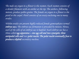 The male sex organ in a flower is the stamen. Each stamen consists of
a slender filament with an anther at the tip. The anthers, following
meiosis, produce pollen grains. The female sex organ in a flower is the
pistil or the carpel. Pistil consists of an ovary enclosing one to many
ovules.
Within ovules are present highly reduced female gametophytes termed
embryo sacs. The embryo-sac formation is preceded by meiosis. Hence,
each of the cells of an embryo-sac is haploid. Each embryo-sac has a
three-celled egg apparatus – one egg cell and two synergids, three
antipodal cells and two polar nuclei. The polar nuclei eventually fuse to
produce a diploid secondary nucleus.
 
