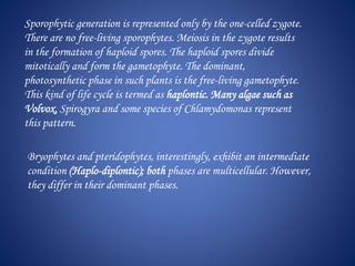 Sporophytic generation is represented only by the one-celled zygote.
There are no free-living sporophytes. Meiosis in the zygote results
in the formation of haploid spores. The haploid spores divide
mitotically and form the gametophyte. The dominant,
photosynthetic phase in such plants is the free-living gametophyte.
This kind of life cycle is termed as haplontic. Many algae such as
Volvox, Spirogyra and some species of Chlamydomonas represent
this pattern.
Bryophytes and pteridophytes, interestingly, exhibit an intermediate
condition (Haplo-diplontic); both phases are multicellular. However,
they differ in their dominant phases.
 