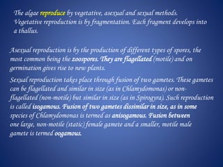 The algae reproduce by vegetative, asexual and sexual methods.
Vegetative reproduction is by fragmentation. Each fragment develops into
a thallus.
Asexual reproduction is by the production of different types of spores, the
most common being the zoospores. They are flagellated (motile) and on
germination gives rise to new plants.
Sexual reproduction takes place through fusion of two gametes. These gametes
can be flagellated and similar in size (as in Chlamydomonas) or non-
flagellated (non-motile) but similar in size (as in Spirogyra). Such reproduction
is called isogamous. Fusion of two gametes dissimilar in size, as in some
species of Chlamydomonas is termed as anisogamous. Fusion between
one large, non-motile (static) female gamete and a smaller, motile male
gamete is termed oogamous.
 