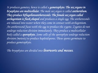 It produces gametes, hence is called a gametophyte. The sex organs in
bryophytes are multicellular. The male sex organ is called antheridium.
They produce biflagellateantherozoids. The female sex organ called
archegonium is flask-shaped and produces a single egg. The antherozoids
are released into water where they come in contact with archegonium.
An antherozoid fuses with the egg to produce the zygote. Zygotes do not
undergo reduction division immediately. They produce a multicellular
body called a sporophyte. Some cells of the sporophyte undergo reduction
division (meiosis) to produce haploidspores. These spores germinate to
produce gametophyte.
The bryophytes are divided into liverworts and mosses.
 