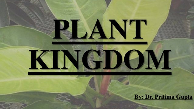 PLANT
KINGDOM
By: Dr. Pritima Gupta
 