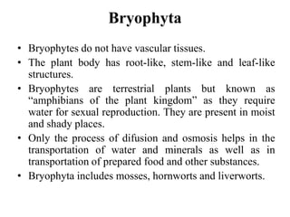 Bryophyta
• Bryophytes do not have vascular tissues.
• The plant body has root-like, stem-like and leaf-like
structures.
• Bryophytes are terrestrial plants but known as
“amphibians of the plant kingdom” as they require
water for sexual reproduction. They are present in moist
and shady places.
• Only the process of difusion and osmosis helps in the
transportation of water and minerals as well as in
transportation of prepared food and other substances.
• Bryophyta includes mosses, hornworts and liverworts.
 