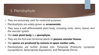 3. Pteridophyte
 They are exclusively used for medicinal purposes.
 Pteridophytes are widely grown as ornamentals.
 They have a well-differentiated plant body, including roots, stems, leaves, and
the vascular system.
 The main plant body is a sporophyte.
 They are the first-ever terrestrial plants to possess vascular tissues.
 The spores are produced by meiosis in spore mother cells.
 Pteridophytes are further divided into- Psilopsida (Psilotum), Lycopsida
(Lycopodium), Sphenopsida (Equisetum), and Pteropsida (Ferns).
 
