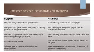Difference between Pteridophyte and Bryophyta
Bryophyta Pteridophyta
The plant body is haploid and gametophytic. The plant body is diploid and sporophytic.
The sporophytic generation is completely or partially
parasitic on the gametophyte.
Both sporophytes and gametophytes have an
independent existence.
The Plant body may be thalloid (like liverworts) or
with leafy appendages (in mosses).
The plant body is differentiated into roots, stems and
leaves.
Vascular tissue is absent.
Vascular tissue is present. Vessels are not present in
the xylem.
Only one type of spores are formed (all are
homosporous).
Some genera evolved the formation of two types of
spores, i.e., heterospory.
 