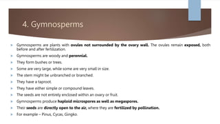 4. Gymnosperms
 Gymnosperms are plants with ovules not surrounded by the ovary wall. The ovules remain exposed, both
before and after fertilization.
 Gymnosperms are woody and perennial.
 They form bushes or trees.
 Some are very large, while some are very small in size.
 The stem might be unbranched or branched.
 They have a taproot.
 They have either simple or compound leaves.
 The seeds are not entirely enclosed within an ovary or fruit.
 Gymnosperms produce haploid microspores as well as megaspores.
 Their seeds are directly open to the air, where they are fertilized by pollination.
 For example – Pinus, Cycas, Gingko.
 