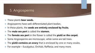 5. Angiosperms
 These plants bear seeds.
 Angiosperms have well-differentiated plant bodies.
 In these plants, the seeds are entirely enclosed by fruits.
 The male sex part is called the stamen.
 The female sex part in the flower is called the pistil or the carpel.
 Some Angiosperms are microscopic, while some are tall trees.
 The pistil contains an ovary that is enclosed by one or many ovules.
 For example – Eucalyptus, Orchids, Rafflesia, and many more.
 
