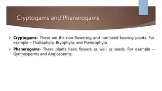 Cryptogams and Phanerogams
 Cryptogams- These are the non-flowering and non-seed bearing plants. For
example – Thallophyta, Bryophyta, and Pteridophyta.
 Phanerogams- These plants have flowers as well as seeds. For example –
Gymnosperms and Angiosperms.
 
