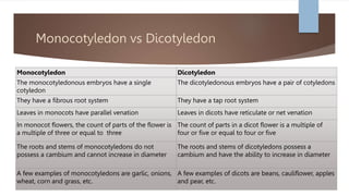 Monocotyledon vs Dicotyledon
Monocotyledon Dicotyledon
The monocotyledonous embryos have a single
cotyledon
The dicotyledonous embryos have a pair of cotyledons
They have a fibrous root system They have a tap root system
Leaves in monocots have parallel venation Leaves in dicots have reticulate or net venation
In monocot flowers, the count of parts of the flower is
a multiple of three or equal to three
The count of parts in a dicot flower is a multiple of
four or five or equal to four or five
The roots and stems of monocotyledons do not
possess a cambium and cannot increase in diameter
The roots and stems of dicotyledons possess a
cambium and have the ability to increase in diameter
A few examples of monocotyledons are garlic, onions,
wheat, corn and grass, etc.
A few examples of dicots are beans, cauliflower, apples
and pear, etc.
 