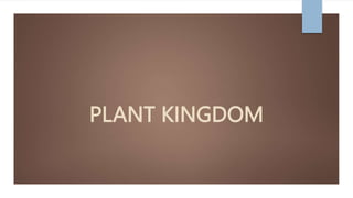 PLANT KINGDOM
 