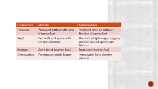 Characters Akinete Aplanospores
Division Produced without division
of protoplast
Produced with or without
division of protoplast
Wall Cell wall and spore wall
are not separate
The wall of aplanosporangium
and the wall of spores are
distinct
Storage Store lot of reserve food Store less reserve food
Perennation Perennates much longer Perennates for a shorter
interval
 