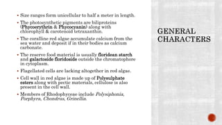  Size ranges form unicellular to half a meter in length.
 The photosynthetic pigments are biliproteins
(Phycoerythrin & Phycocyanin) along with
chlorophyll & carotenoid tetraxanthin.
 The coralline red algae accumulate calcium from the
sea water and deposit if in their bodies as calcium
carbonate.
 The reserve food material is usually floridean starch
and galactoside floridoside outside the chromatophore
in cytoplasm.
 Flagellated cells are lacking altogether in red algae.
 Cell wall in red algae is made up of Polysulphate
esters along with pectic materials, cellulose is also
present in the cell wall.
 Members of Rhodophyceae include Polysiphonia,
Porphyra, Chondrus, Grinellia.
 