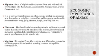  Alginate : Salts of alginic acid extracted from the cell wall of
brown algae like Laminaria, Macrocystis, Ascophyllum, Fucus,
Sargassum etc.
 It is a polysaccharide made up of galuronic acid & mannuronic
acid & used as a stabilizer, emulsifier, gelling agent and used in
preparation of soup, jelly, creams, soaps, printing ink etc.
 Diatomite : The fossilized diatoms deposited a sedimentary rock
called diatomaceous earth and is used a s filter, absorbent and
insulator in oil and chemical industry, furnaces, refrigertors,
sound proof rooms, tooth powder etc.
 Mucliage : Extracted from Careragean and Chondrus is used as
stiffening agent in cosmetics, shaving creams, shoepolish,
shampoos etc.
 