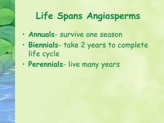 Life Spans Angiosperms
• Annuals- survive one season
• Biennials- take 2 years to complete
  life cycle
• Perennials- live many years
 