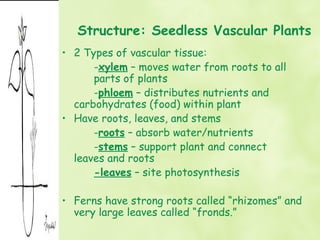 Structure: Seedless Vascular Plants
• 2 Types of vascular tissue:
      -xylem – moves water from roots to all
      parts of plants
      -phloem – distributes nutrients and
  carbohydrates (food) within plant
• Have roots, leaves, and stems
      -roots – absorb water/nutrients
      -stems – support plant and connect
  leaves and roots
      -leaves – site photosynthesis

• Ferns have strong roots called “rhizomes” and
  very large leaves called “fronds.”
 
