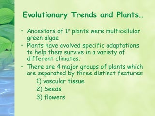 Evolutionary Trends and Plants…

• Ancestors of 1st plants were multicellular
  green algae
• Plants have evolved specific adaptations
  to help them survive in a variety of
  different climates.
• There are 4 major groups of plants which
  are separated by three distinct features:
      1) vascular tissue
      2) Seeds
      3) flowers
 