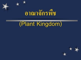อาณาจักรพืช
(Plant Kingdom)
 