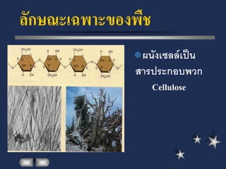 ลักษณะเฉพาะของพืช
               ผนังเซลล์เป็น
              สารประกอบพวก
                 Cellulose
 