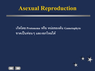 Asexual Reproduction

– เกิดโดย Protonema หรือ หน่อของต้น Gametophyte
  ขาดเป็นท่อนๆ และงอกใหม่ได้
 
