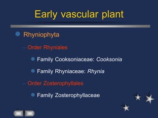Early vascular plant
   Rhyniophyta
    – Order Rhyniales
        Family Cooksoniaceae: Cooksonia
        Family Rhyniaceae: Rhynia
    – Order Zosterophyllales
        Family Zosterophyllaceae
 