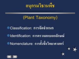 อนุกรมวิธานพืช
          (Plant Taxonomy)
Classification: การจัดจาแนก
Identification: การตรวจสอบเอกลักษณ์
Nomenclature: การตั้งชื่อวิทยาศาสตร์
 