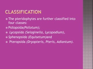 PLANT KINGDOM CLASS XI CHAPTER-03,BIOLOGY.pptx