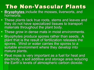 Plant kingdom | PPT