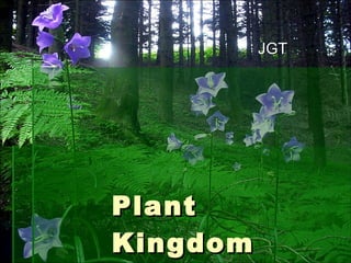 Plant Kingdom JGT 