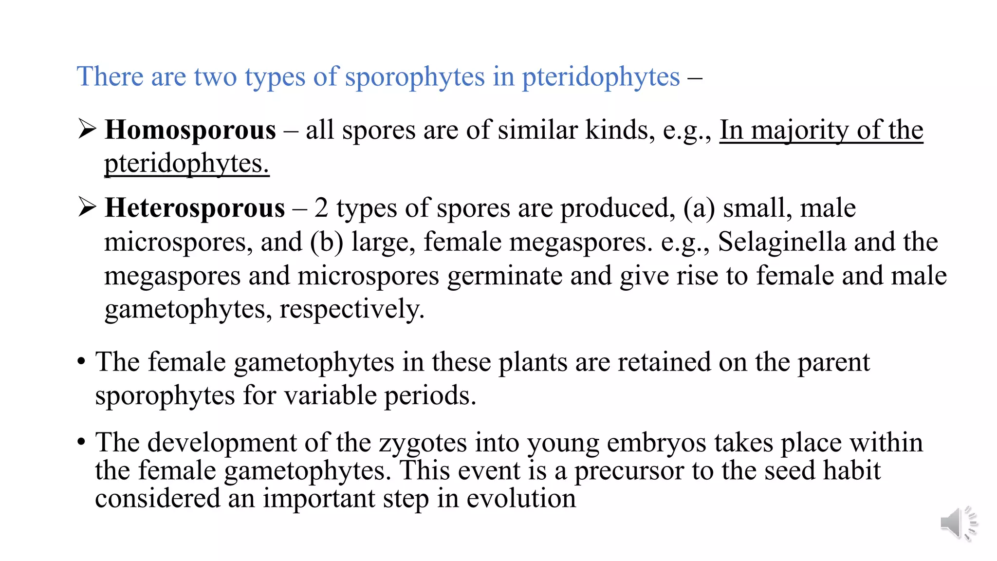 Plant kingdom (11th Biology) for complete 11th and 12th notes 1999 and ...