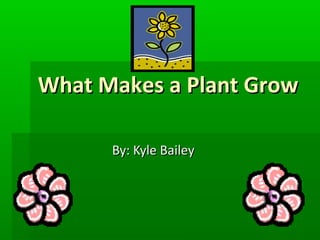 What Makes a Plant Grow

      By: Kyle Bailey
 