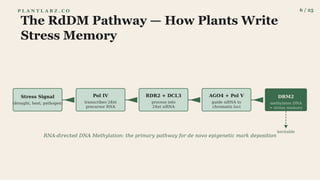 The Epigenetic Sentinel: A Framework for Plant Stress Memory and ...