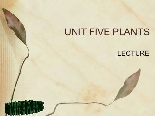 UNIT FIVE PLANTS

         LECTURE
 