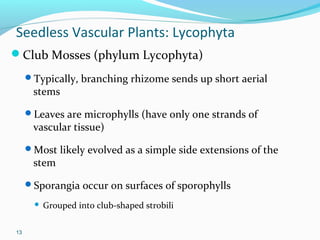 Plant lecture 7 | PPT