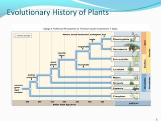 Plant lecture 7 | PPT