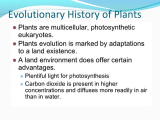 Evolutionary History of Plants

 