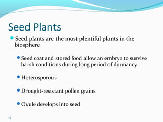 Plant lecture 7