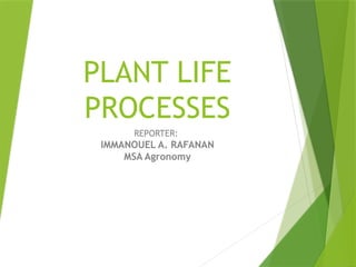 PLANT LIFE
PROCESSES
REPORTER:
IMMANOUEL A. RAFANAN
MSA Agronomy
 